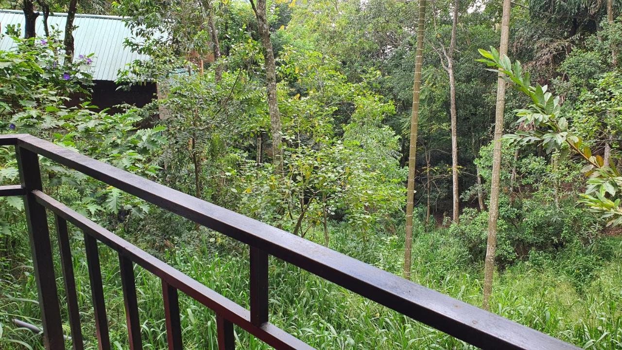 Eco Zone Resort Ella Exteriör bild